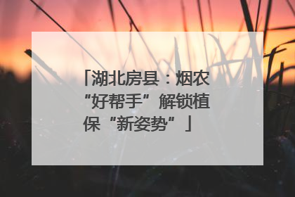 湖北房县：烟农“好帮手”解锁植保“新姿势”