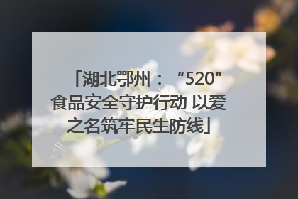 湖北鄂州：“520”食品安全守护行动 以爱之名筑牢民生防线