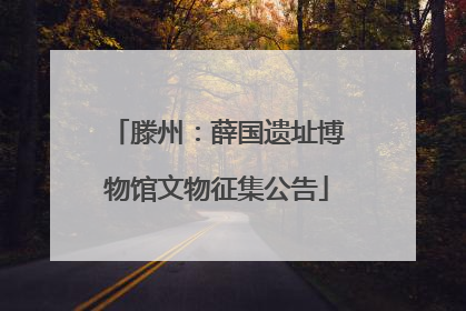 滕州：薛国遗址博物馆文物征集公告