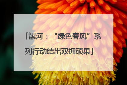 漯河：“绿色春风”系列行动结出双拥硕果