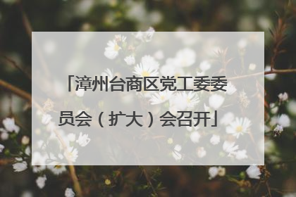 漳州台商区党工委委员会（扩大）会召开