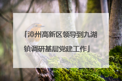 漳州高新区领导到九湖镇调研基层党建工作