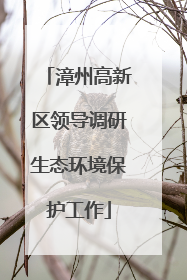 漳州高新区领导调研生态环境保护工作