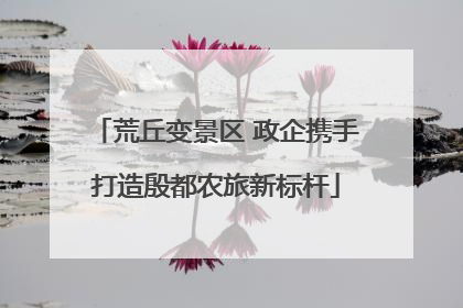 荒丘变景区 政企携手打造殷都农旅新标杆