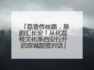 荔香传丝路，泉韵汇长安！从化荔枝文化季西安行开启双城甜蜜对话