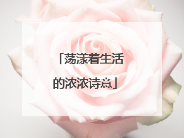 荡漾着生活的浓浓诗意