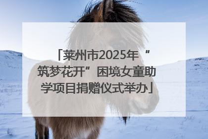 莱州市2025年“筑梦花开”困境女童助学项目捐赠仪式举办