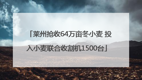 莱州抢收64万亩冬小麦 投入小麦联合收割机1500台