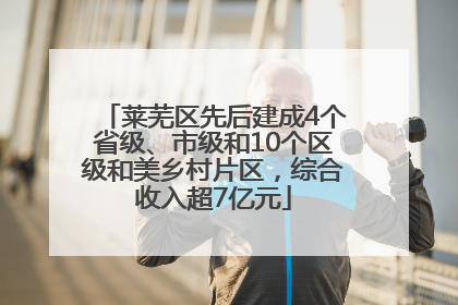 莱芜区先后建成4个省级、市级和10个区级和美乡村片区，综合收入超7亿元