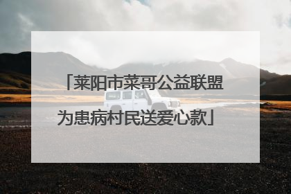 莱阳市菜哥公益联盟为患病村民送爱心款