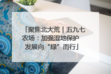 聚焦北大荒｜五九七农场：加强湿地保护 发展向“绿”而行