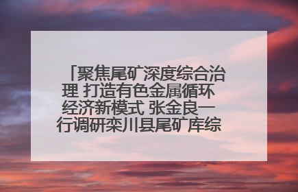 聚焦尾矿深度综合治理 打造有色金属循环经济新模式 张金良一行调研栾川县尾矿库综合治理工作