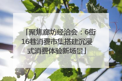聚焦廊坊经洽会：6街16巷消费市集搭建沉浸式消费体验新场景