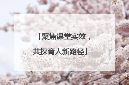 聚焦课堂实效，共探育人新路径