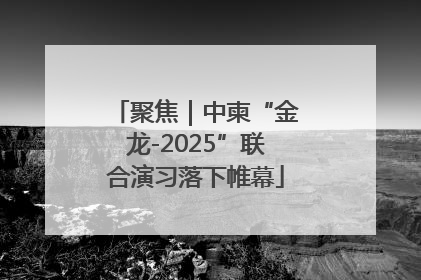 聚焦｜中柬“金龙-2025”联合演习落下帷幕