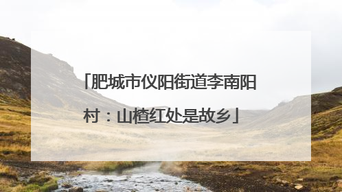 肥城市仪阳街道李南阳村：山楂红处是故乡