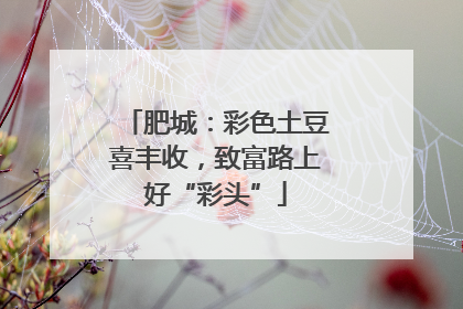 肥城：彩色土豆喜丰收，致富路上好“彩头”