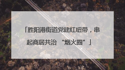 胜阳港街道党建红纽带，串起商居共治 “烟火圈”