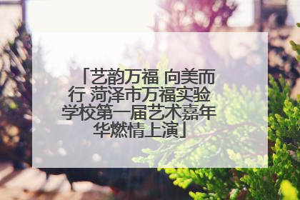 艺韵万福 向美而行 菏泽市万福实验学校第一届艺术嘉年华燃情上演