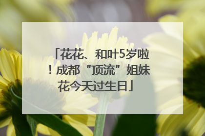 花花、和叶5岁啦！成都“顶流”姐妹花今天过生日