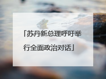 苏丹新总理呼吁举行全面政治对话