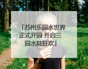 苏州乐园水世界正式开园 开启三园水陆狂欢