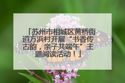 苏州市相城区黄桥街道方浜村开展“书香传古韵，亲子共端午”主题阅读活动！
