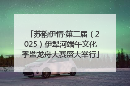 苏韵伊情·第二届（2025）伊犁河端午文化季暨龙舟大赛盛大举行