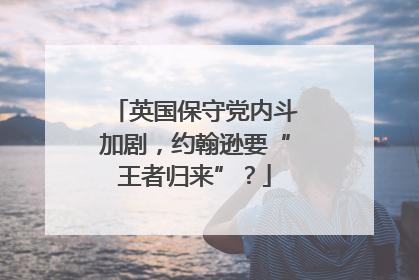 英国保守党内斗加剧，约翰逊要“王者归来”？
