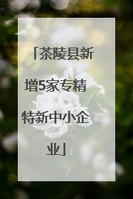 茶陵县新增5家专精特新中小企业