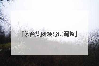 茅台集团领导层调整