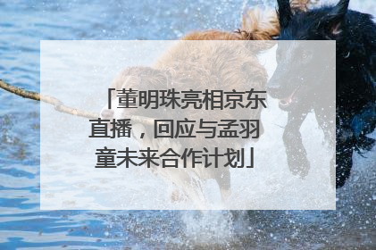 董明珠亮相京东直播，回应与孟羽童未来合作计划