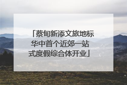 蔡甸新添文旅地标 华中首个近郊一站式度假综合体开业