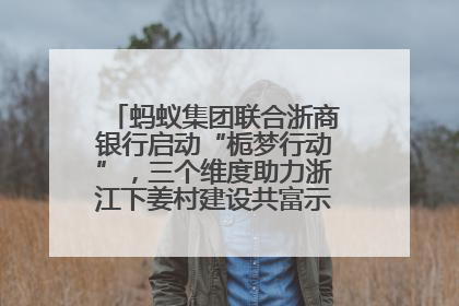 蚂蚁集团联合浙商银行启动“栀梦行动”，三个维度助力浙江下姜村建设共富示范区示范点