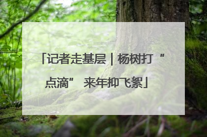 记者走基层｜杨树打“点滴” 来年抑飞絮