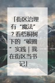 街区治理有“魔法”？看梧桐树下的“破圈”实践｜我在街区当书记