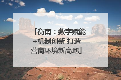 衡南：数字赋能+机制创新 打造营商环境新高地