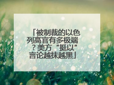 被制裁的以色列高官有多极端？美方“挺以”言论越抹越黑