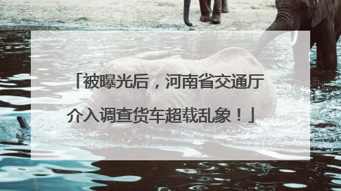 被曝光后，河南省交通厅介入调查货车超载乱象！