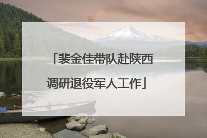 裴金佳带队赴陕西调研退役军人工作