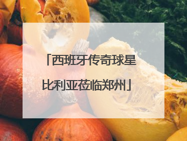 西班牙传奇球星 比利亚莅临郑州