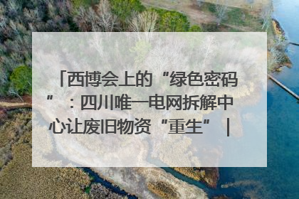 西博会上的“绿色密码”：四川唯一电网拆解中心让废旧物资“重生”｜西博寻“新”记