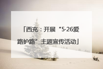 西充：开展“5·26爱路护路”主题宣传活动