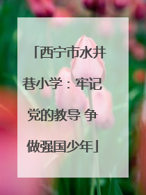 西宁市水井巷小学：牢记党的教导 争做强国少年