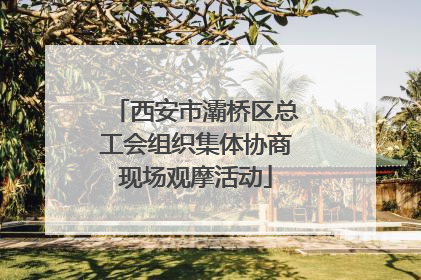 西安市灞桥区总工会组织集体协商现场观摩活动