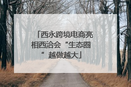 西永跨境电商亮相西洽会“生态圈”越做越大