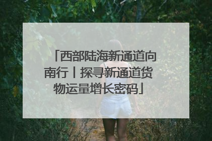 西部陆海新通道向南行丨探寻新通道货物运量增长密码
