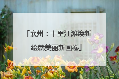襄州：十里江滩焕新 绘就美丽新画卷