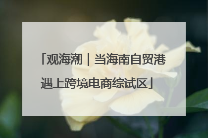 观海潮｜当海南自贸港遇上跨境电商综试区