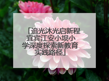 追光沐光启新程 宜宾江安小坝小学深度探索新教育实践路径